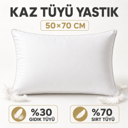 Goose Down Pillow 50x70 cm