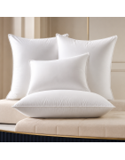 Hotel Pillows